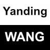 Yanding WANG